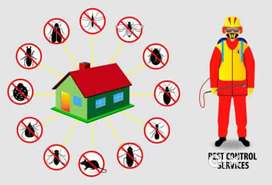 Pest control serives