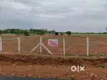 2.13 Acer red soil land