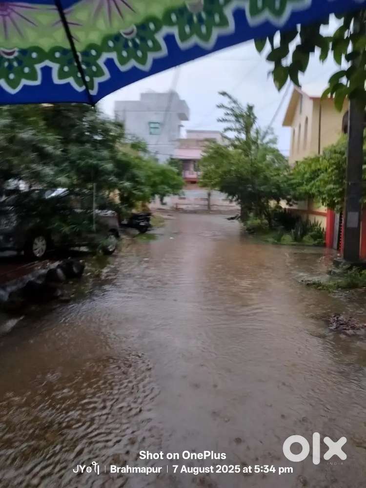 Need girl room mate near sidharth nagar 1 st lane