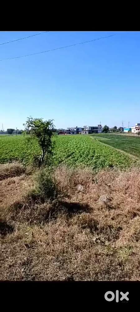 3 bighas land in 9cr attach with national highway in dewas