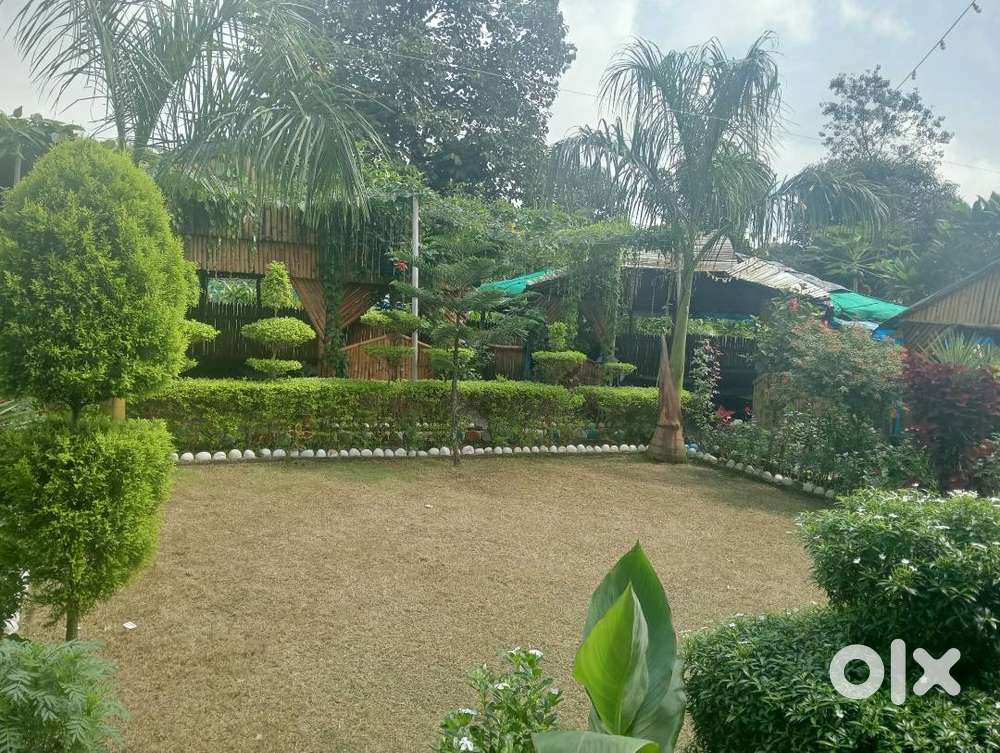 Chef, Kitchen Helper, Waiter