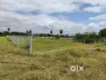 Agriculture land for sale,