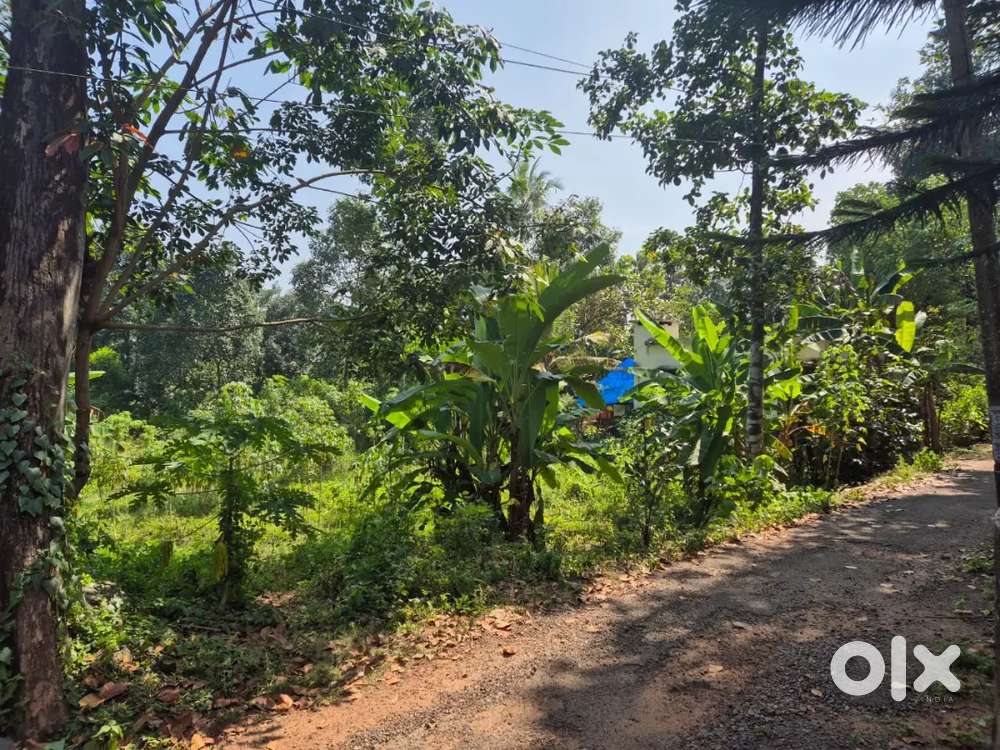 Residential Land for sale in villoonni, Arpookara, Kottayam
