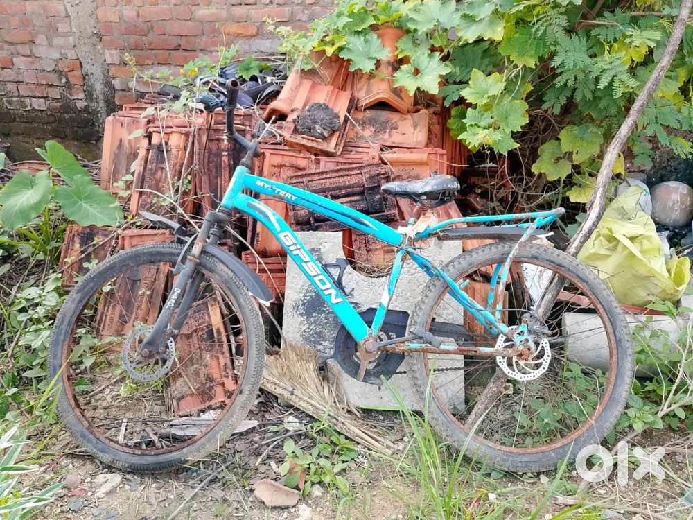 My old Bycycle good condition