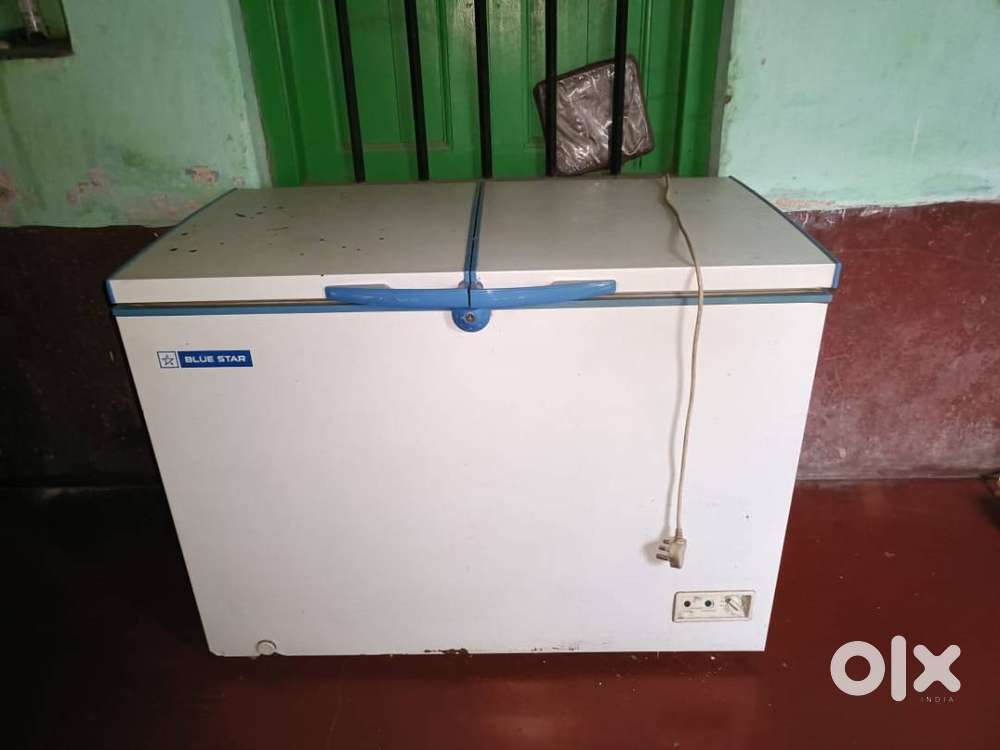 Blue star 310 ltr deep freezer