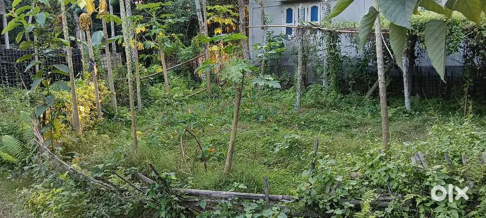 Urgently sale my property 2 kothar olp besi ase kotha 6.70 lakh