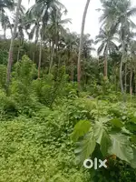 1 Acer 20 Cent Paramp Mullekkara Mannuthy
