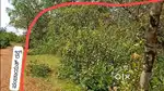 70 Cents Site  Uppunda City to  Makki Temple Road  Low budget   40 lak
