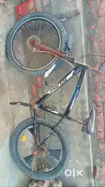 Roland bicycle