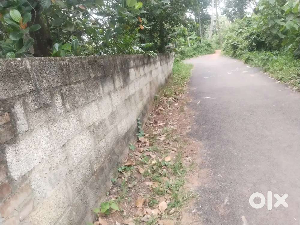 11,16 സെന്റ് വസ്തു വിൽപനക്ക്