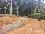 ID- K228845 Plottable Dry Land For Sale At Mannanthala Mukkola Road