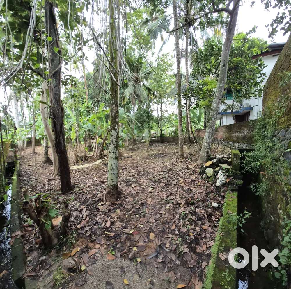 Residential plot, with boundary wall,  two wheeler access only