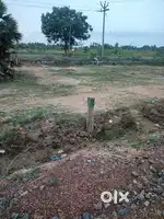 Arasampatti