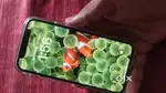I phone 12 mini 5g