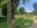 Land  in Laldas jote, District Darjeelling