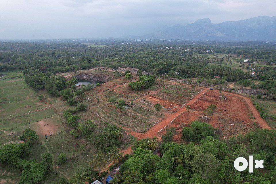House plot for sale at Elappully, Palakkad