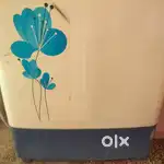 Intex washing machine