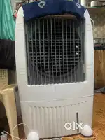 Cooler of marina