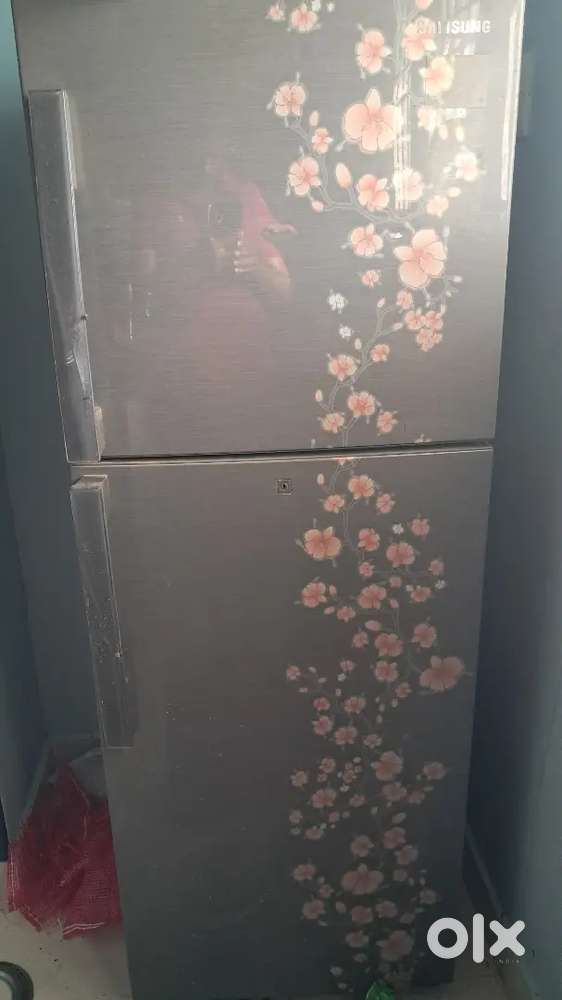 Samsung fridge double door