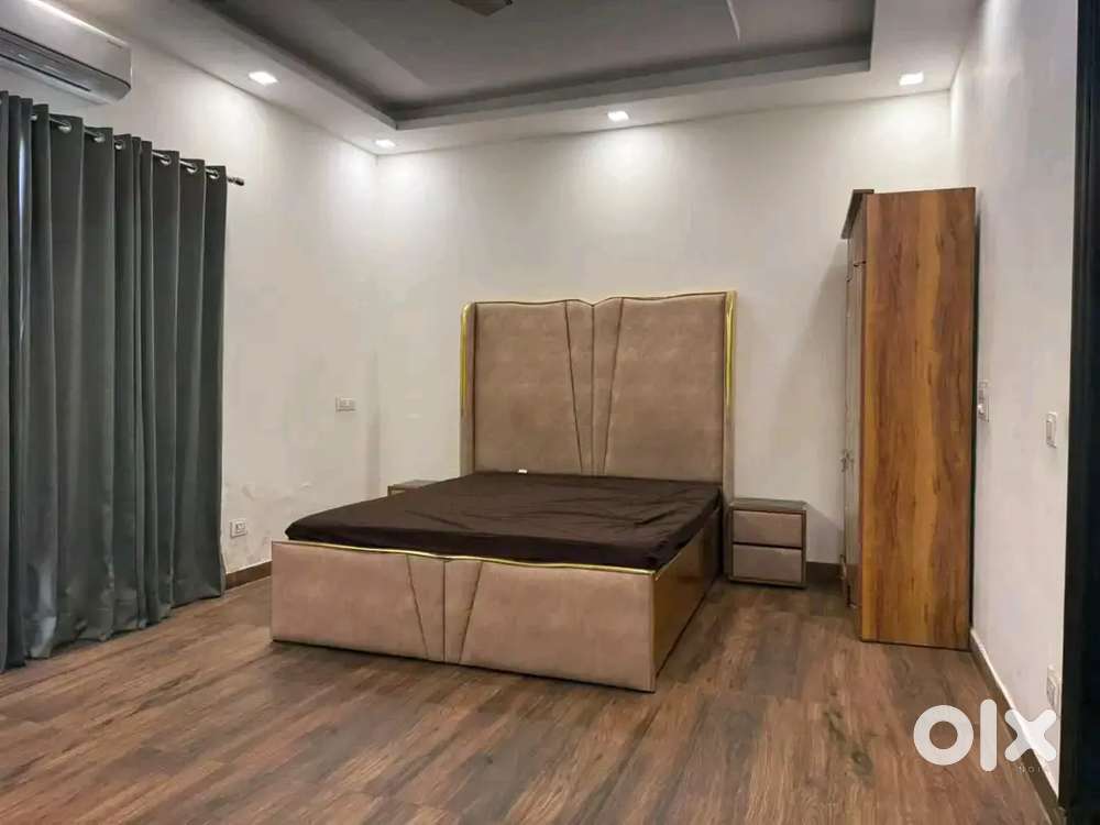 Exclusive Pg Gurgaon sector 47 Corporate Crowd Only