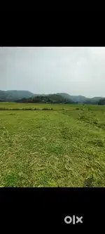 1 bigha Land for Sale @Chandrapur-Thakurkuchi- High Growth Potential!
