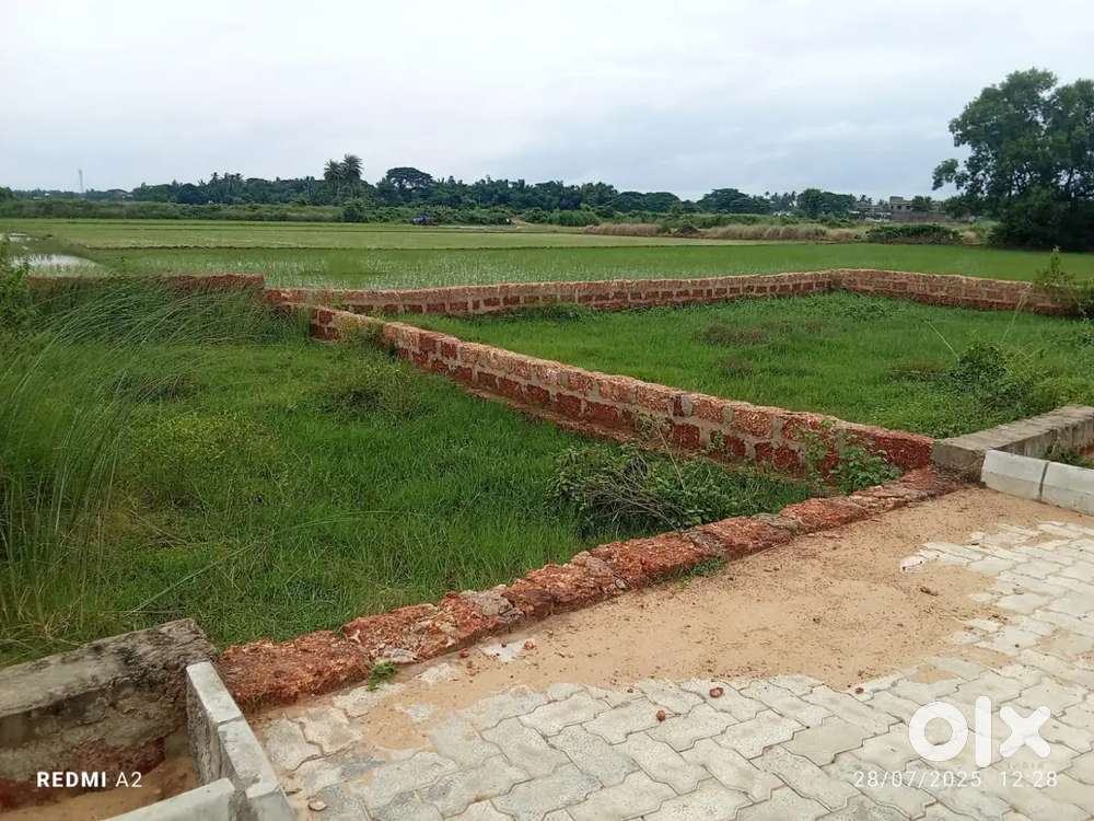 Colony Planning Project (25 years of Trust)