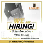 Need a sales executive for electrical products