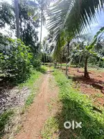 2.16 ACRES RESIDENTIAL LAND SALE IN MULLASSERI
