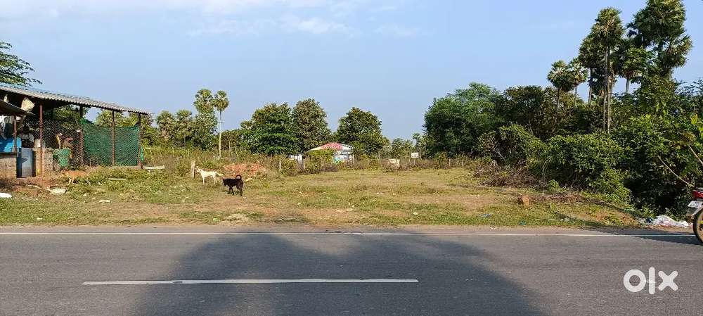 14.75 cents for sale