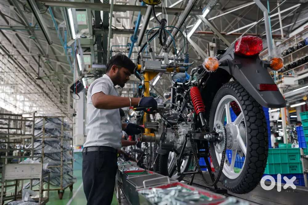 Were hiring freshers for job