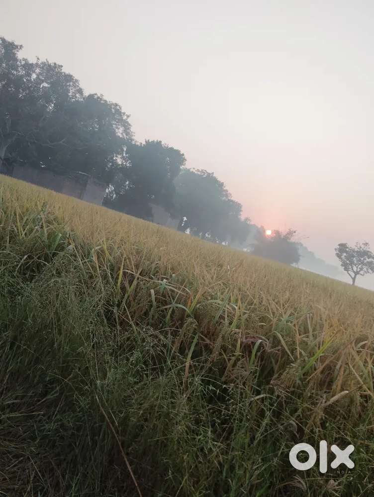 (Urgent) open land for rent in Panvel