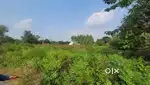 11 Marla Residential Plot for Sale in Piplanwala, Hoshiarpur