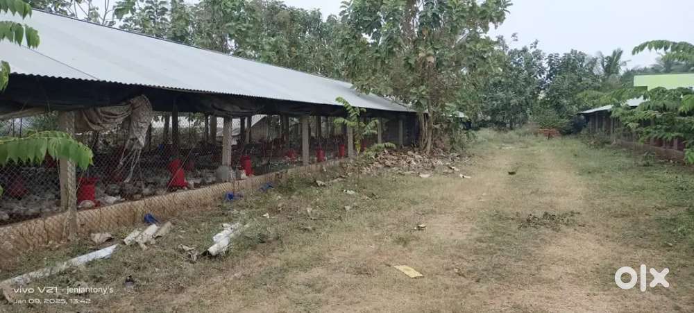 9000 sqft running poultry farm for rent in kerala border tamilnadu