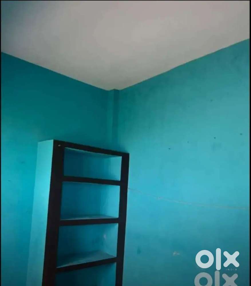 Bachelor girl and family allow