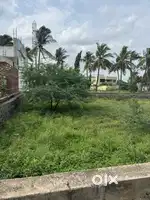 200 sq yard registry plot Near hasan bin ghalib house near kothapet