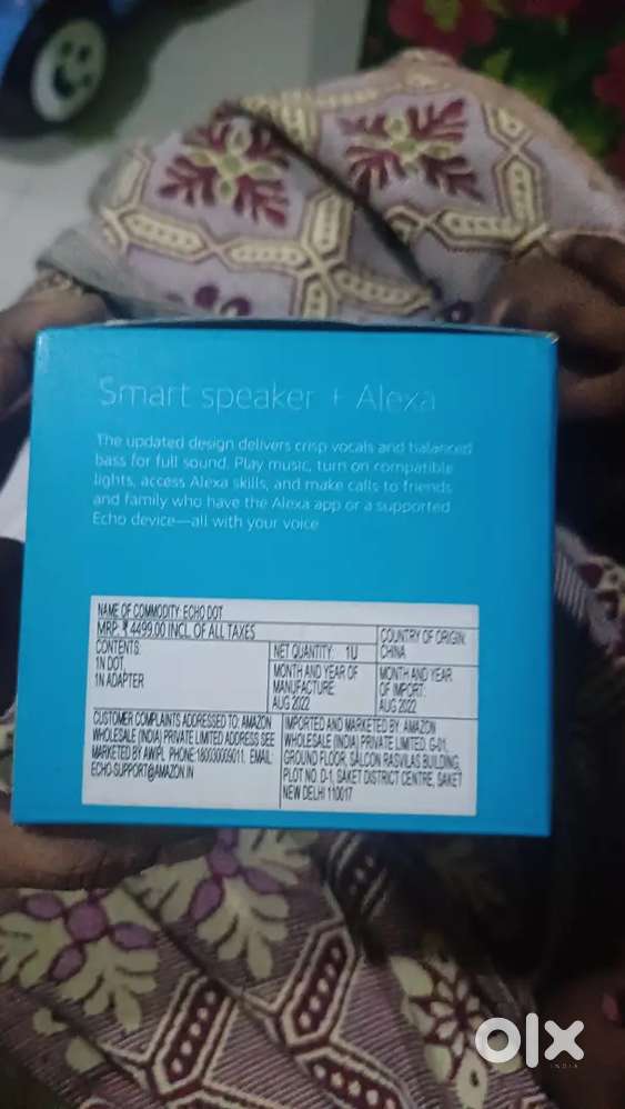 Alexa + smart speaker