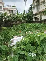 Tarapur kalibadi lane 3 kha plot for sale