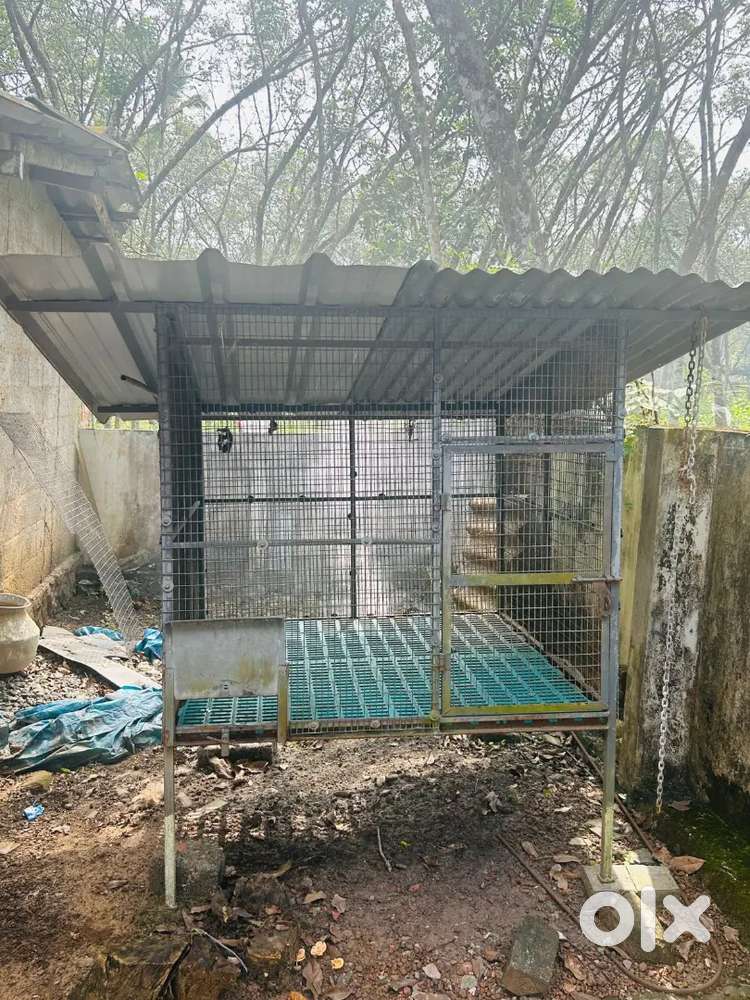 Dog cage for big dogs