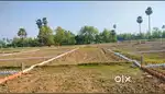 आसान किस्तों में जमीन खरीदे बिहटा (पटना) में आईआईटी पटना 0%