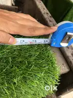 2 green carpet artificial grass
