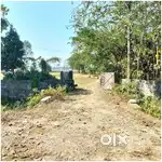 Commercial / Industrial Land for Sale (Tezpur, Balipara, Sonitpur)