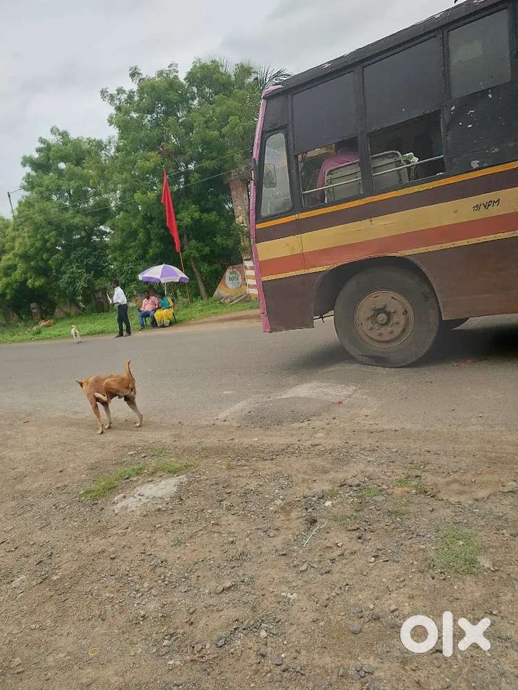 Chengalpattu DTCP Approved plots Sale