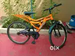 Hercules Adult cycle