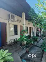 MIYADI POTA