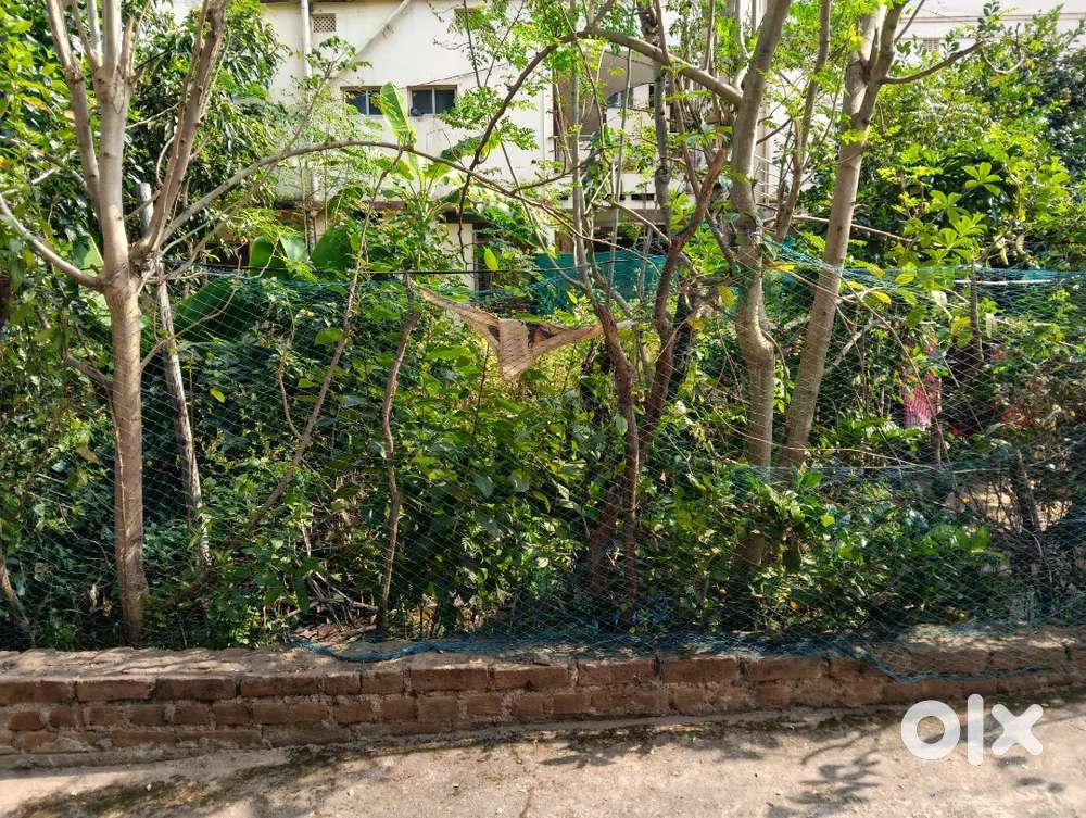 2775 sqft of land in prime location near SANS Hotel for rent