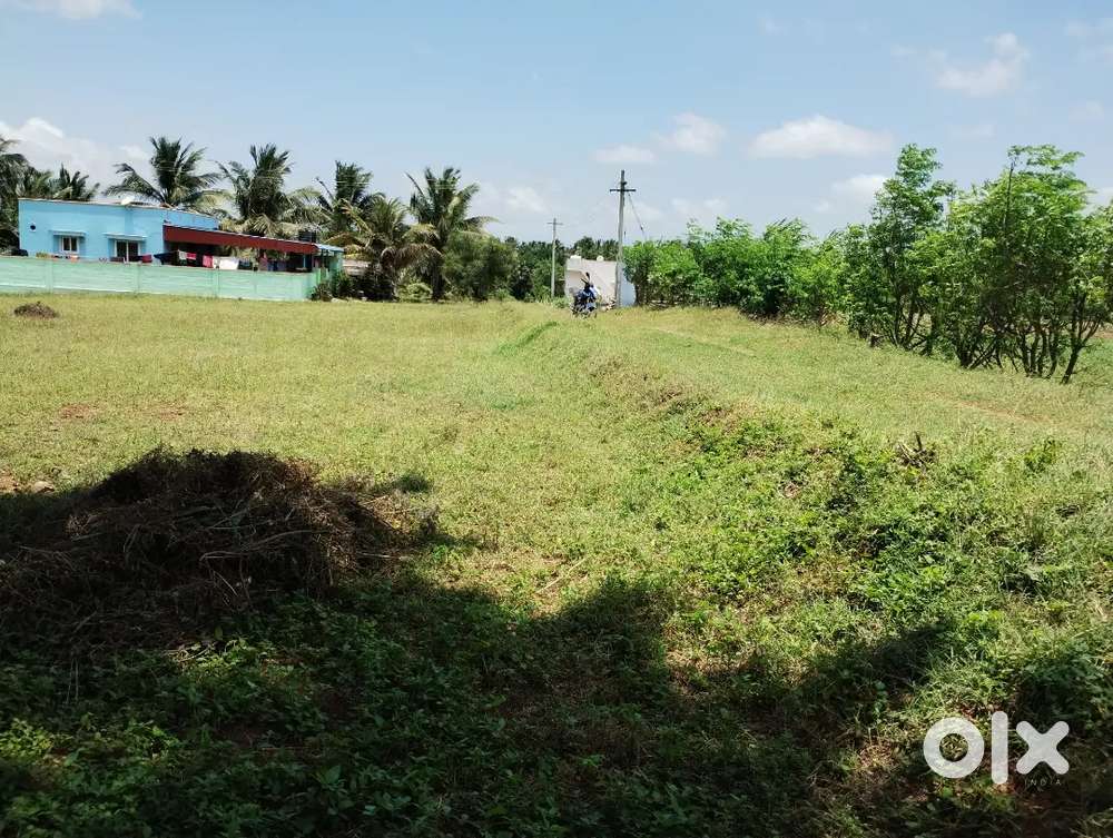 Othakalmandapam land for sale