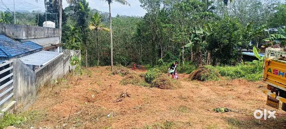 Madavoor,,  parippalli   madathara road