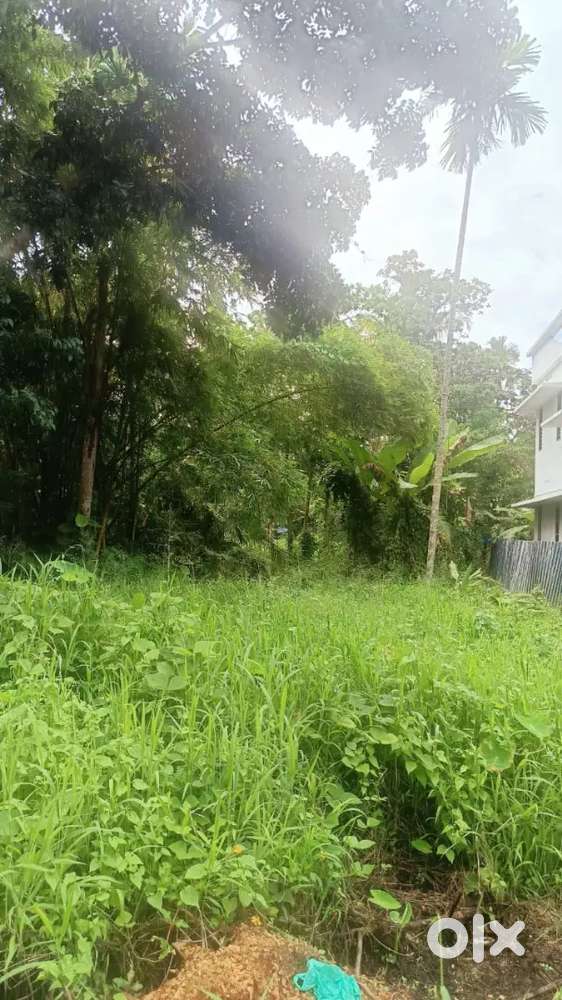 7 send land suitable for residential