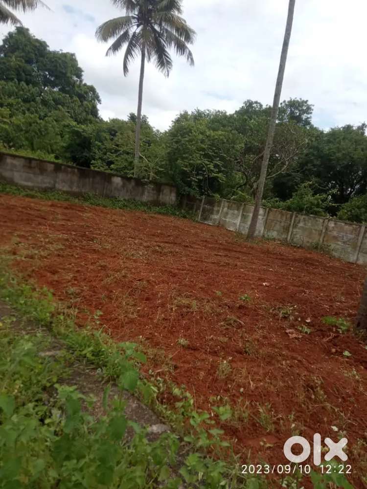 Plot for Sale