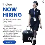 Ka&gt; @!rp0rt Hiring department requirement freshers 10,12th male/female